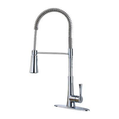 Zuri 1-Handle Pull-Down Kitchen Faucet 1-Handle Pull-Down Kitchen Faucet