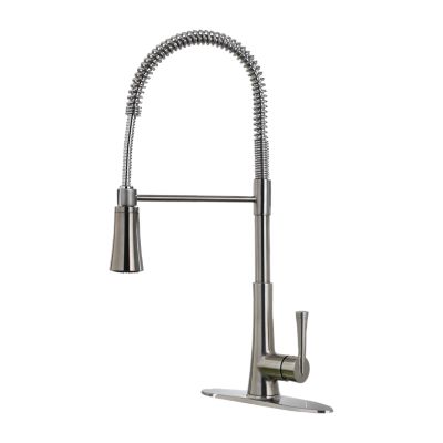 Zuri 1-Handle Pull-Down Kitchen Faucet 1-Handle Pull-Down Kitchen Faucet