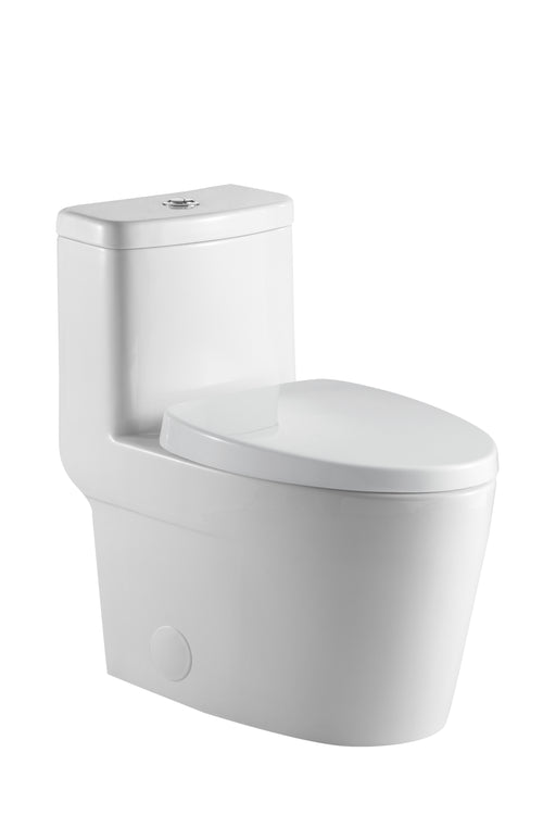 Neptune Zen 4.1/6L Dual Flush Elongated One-Piece Toilet in White