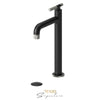 Tenzo Tall Lavatory With Drain Bathroom Sink