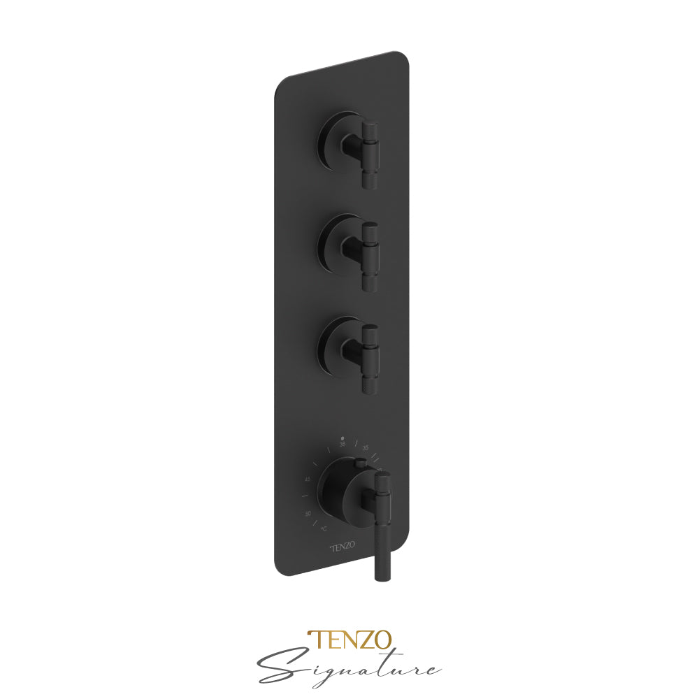 EXTENZA Thermostatic 3 functions