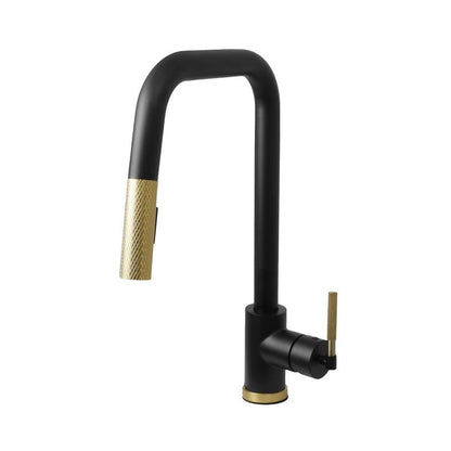 Pull - down Kitchen Faucet - F23200 - Golzar Home