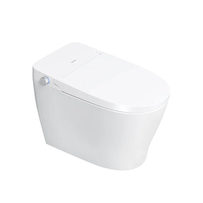 Mono Smart Toilet - Golzar Home