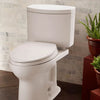 Toto DrakeÂ® II Two-Piece Toilet 1.28 GPF - Elongated front bowl - Golzar Home
