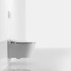 Toto Rp Wall Hung Toilet & In-Wall Tank System 1.28/0.9 Gpf - Golzar Home