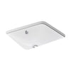 Iron Plains® 18-1/2" rectangular drop-in/undermount bathroom sink