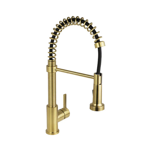 EDISON Pull-out Dual Spray Kitchen Faucet - F25133