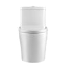 Neptune Zen 4.1/6L Dual Flush Elongated One-Piece Toilet in White
