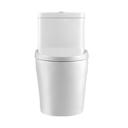 Neptune Zen 4.1/6L Dual Flush Elongated One-Piece Toilet in White